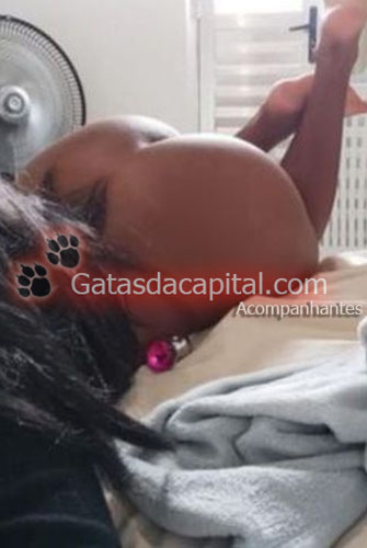 Gatas das Capital Acompanhante de Brasília 