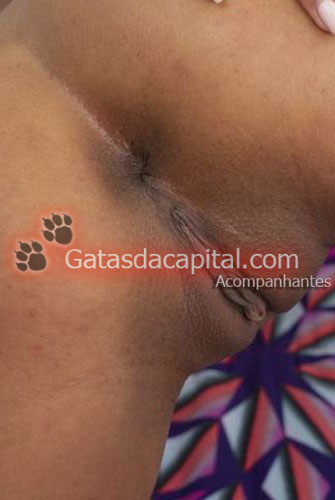 Gatas das Capital Acompanhante de Brasília 