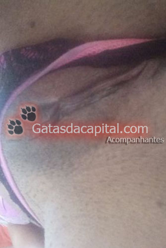 Gatas das Capital Acompanhante de Brasília 