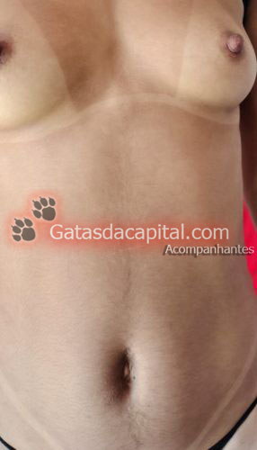 Gatas das Capital Acompanhante de Brasília 
