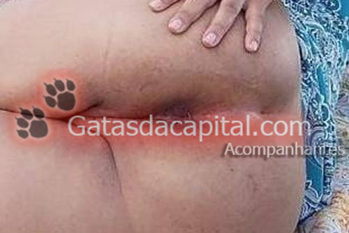 Gatas das Capital Acompanhante de Brasília 